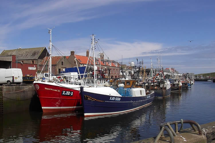 eyemouth