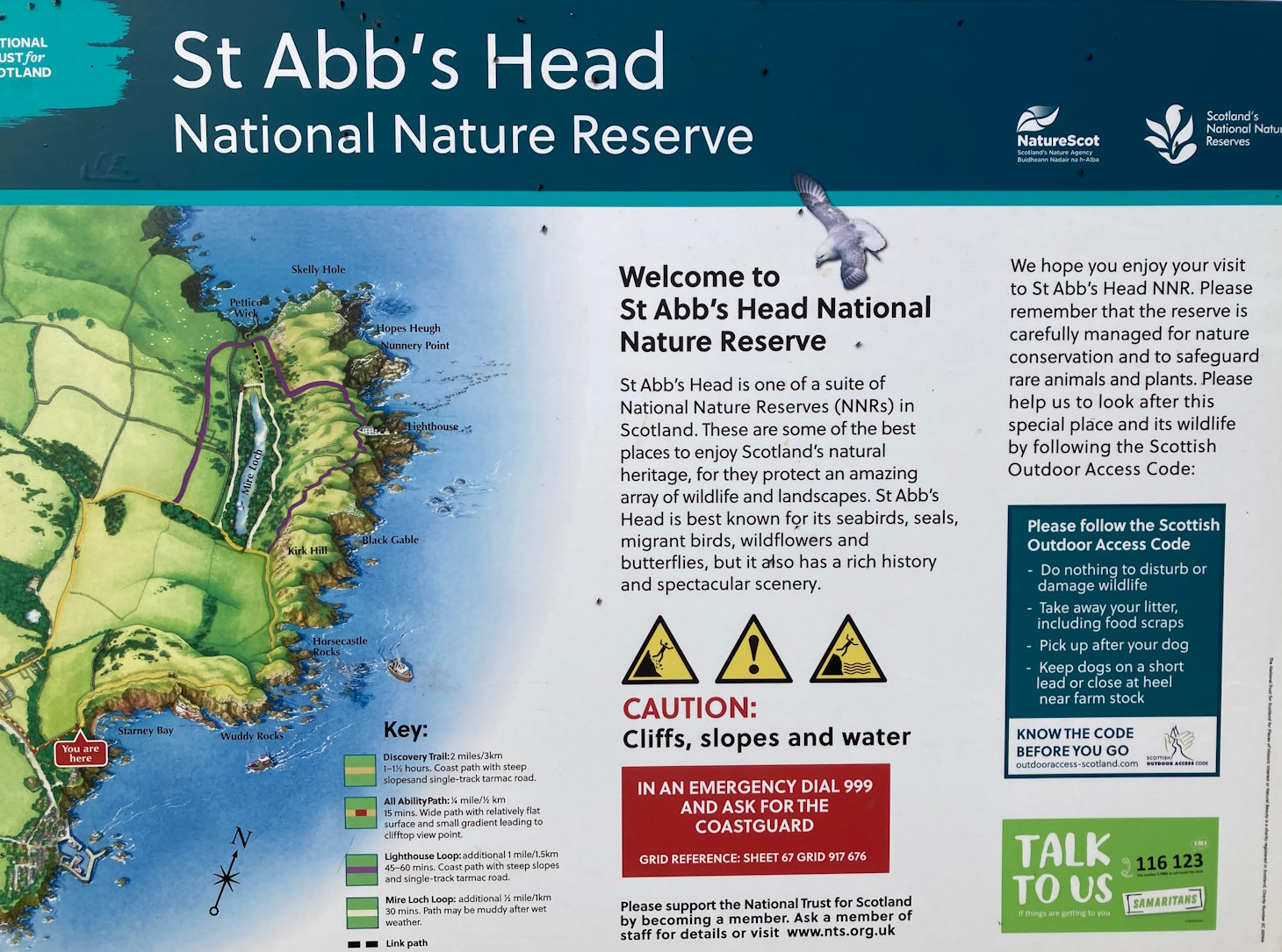 st abbs head homepage